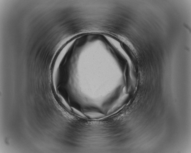 X0000096471380200802211140