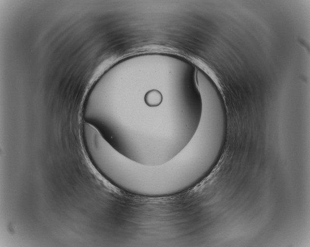 X0000096471381200802211140