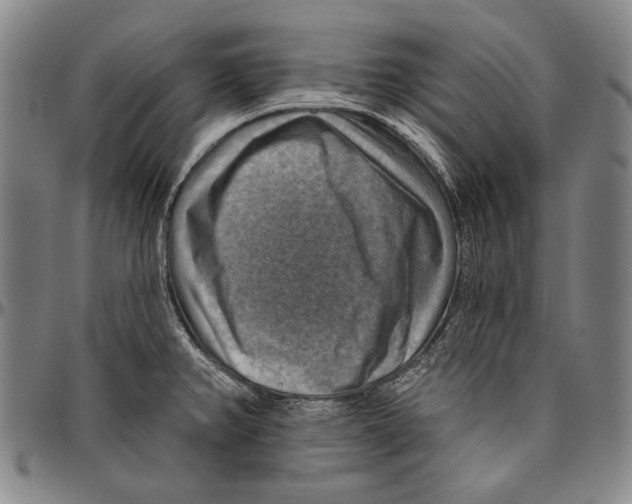 X0000096471382200802211140