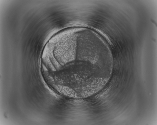 X0000096471383200802211140