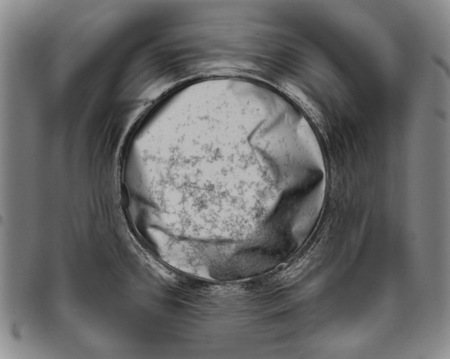 X0000096471384200802211140