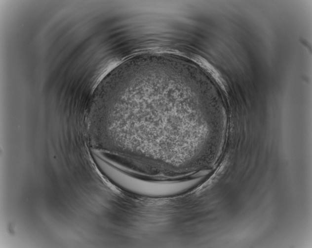 X0000096471385200802211139