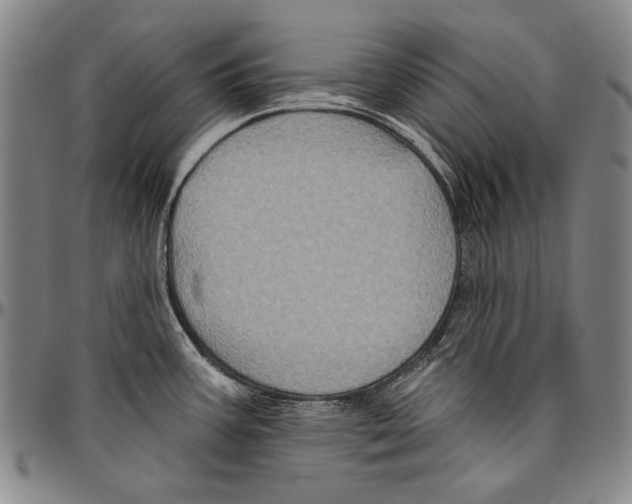 X0000096471387200802211139