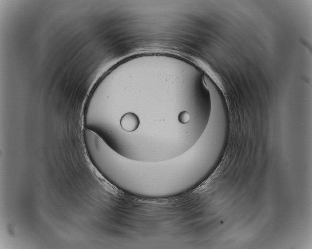 X0000096471388200802211139