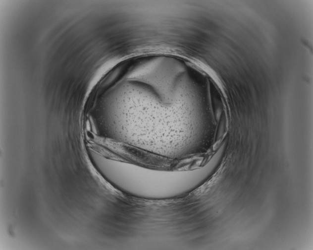 X0000096471389200802211139