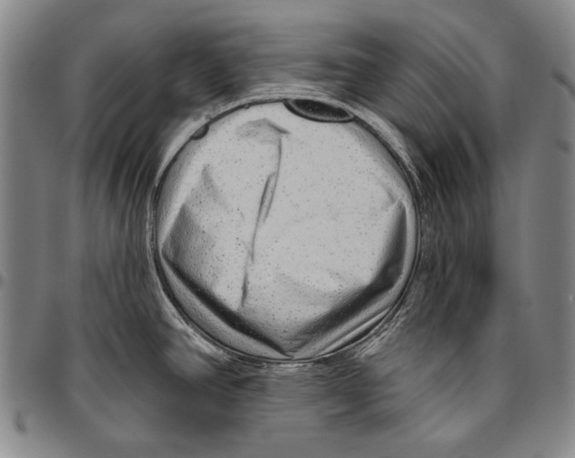 X0000096471390200802211139