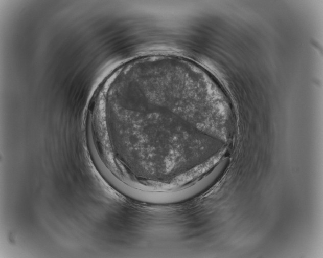 X0000096471392200802211139