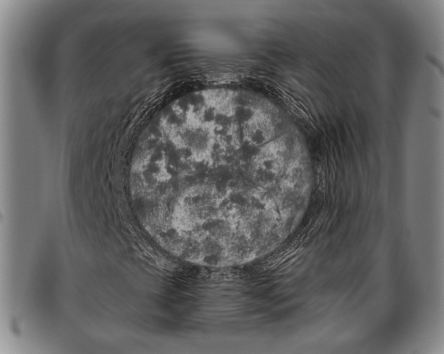 X0000096471393200802211139