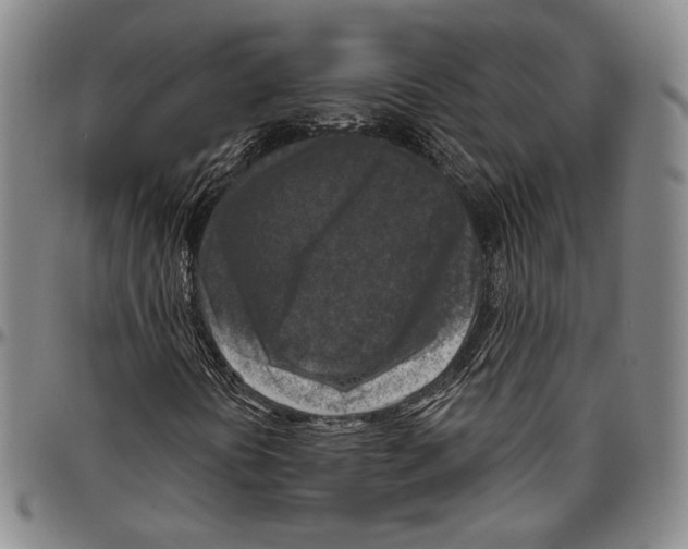 X0000096471394200802211139