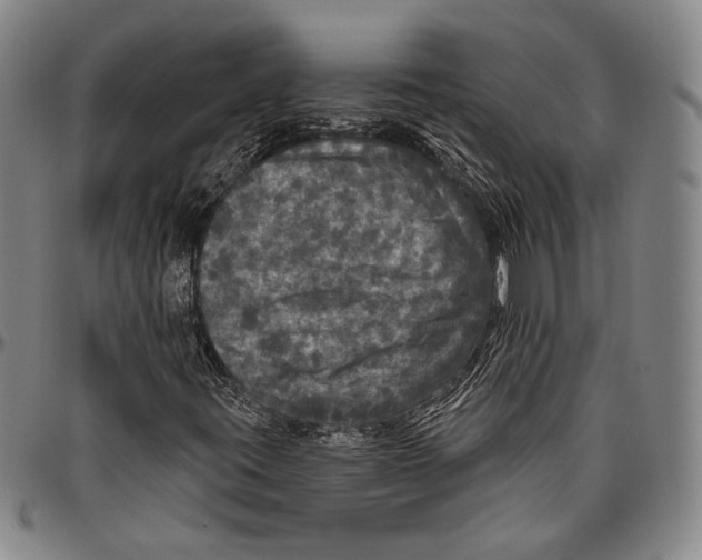 X0000096471395200802211139