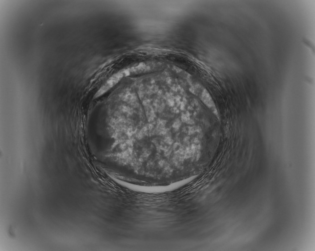 X0000096471397200802211139