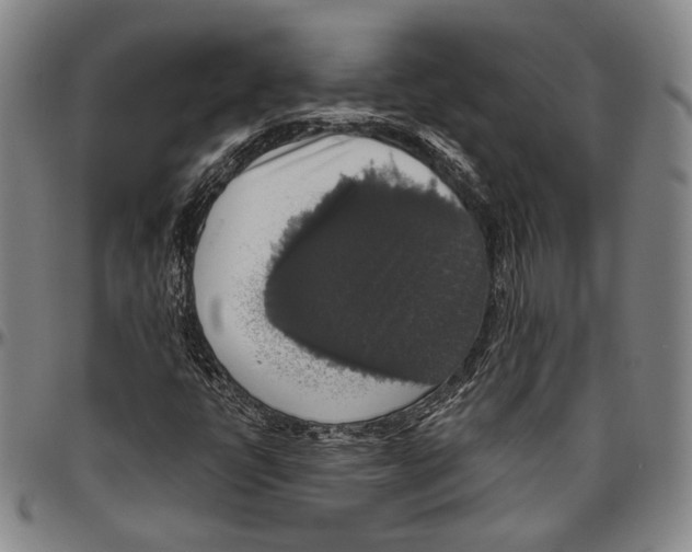 X0000096471398200802211139