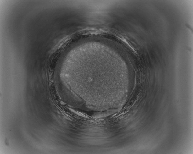 X0000096471399200802211139