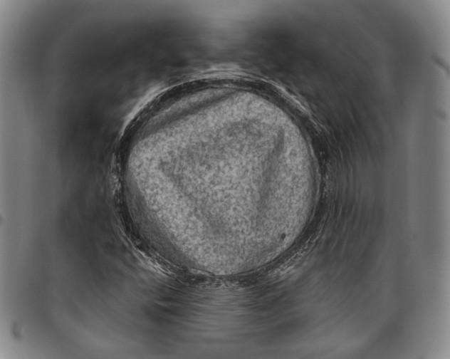 X0000096471400200802211139