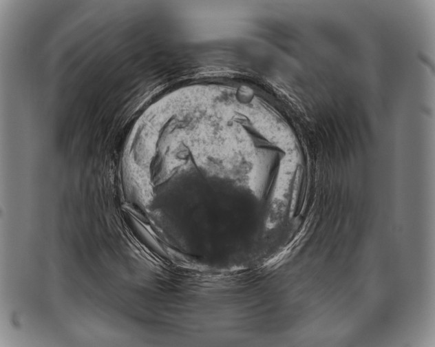 X0000096471401200802211139