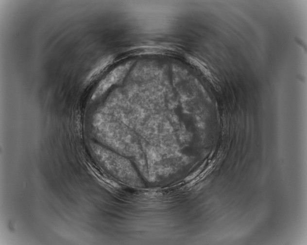 X0000096471403200802211139