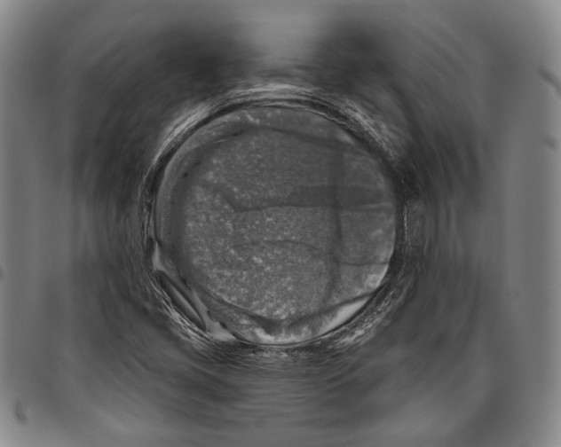 X0000096471405200802211139