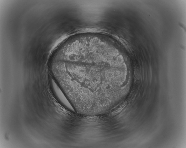 X0000096471406200802211139