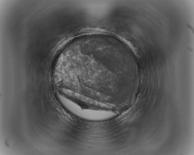 X0000096471407200802211139