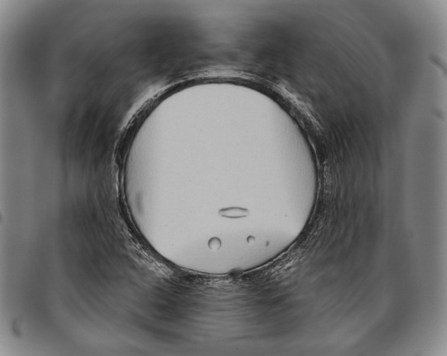 X0000096471408200802211139