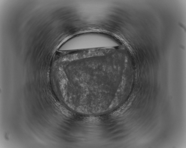 X0000096471409200802211139