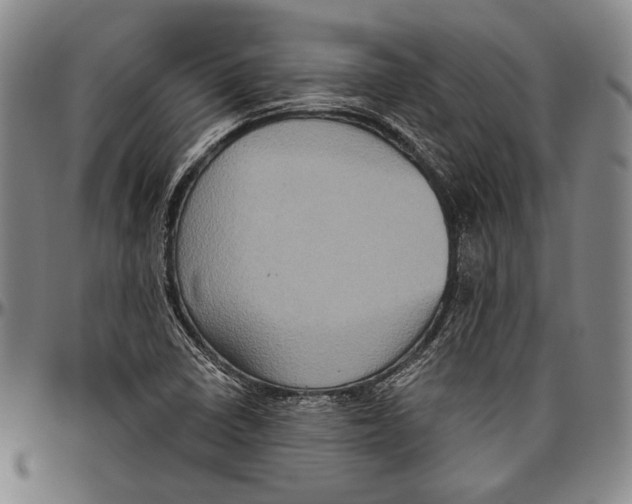 X0000096471410200802211139