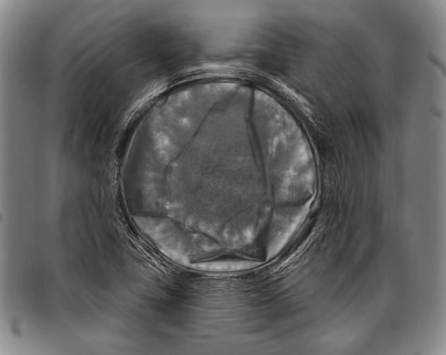 X0000096471411200802211139