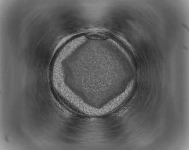 X0000096471412200802211139