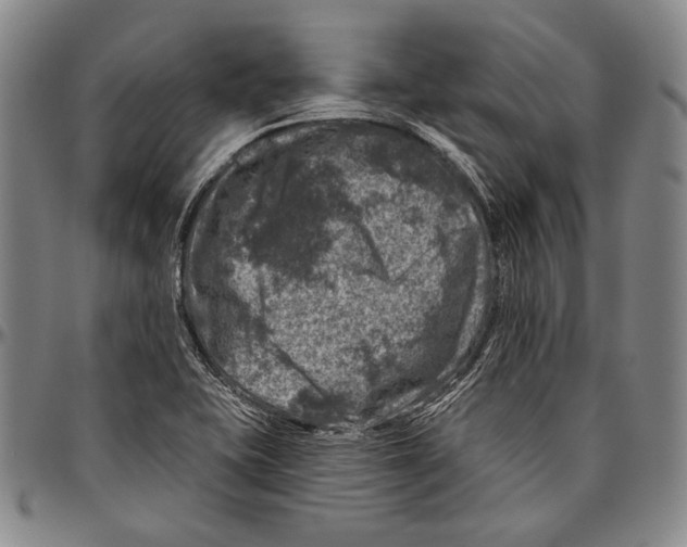 X0000096471415200802211139