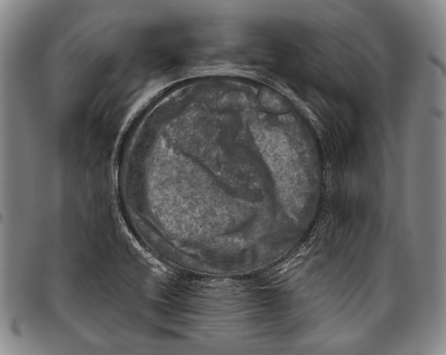 X0000096471416200802211139