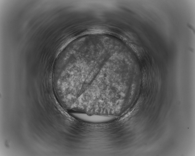 X0000096471417200802211139