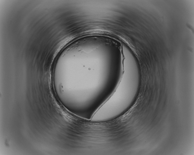 X0000096471418200802211139