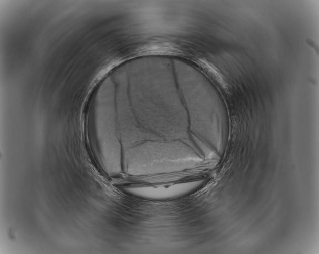 X0000096471419200802211139