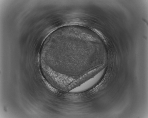 X0000096471420200802211139