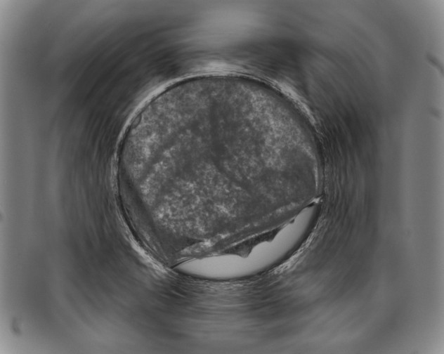 X0000096471421200802211139