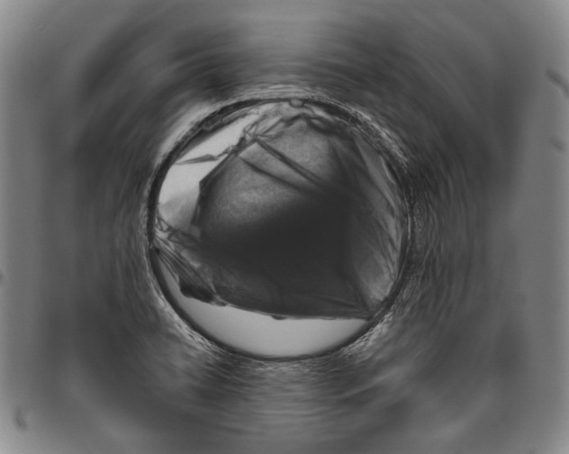 X0000096471422200802211139