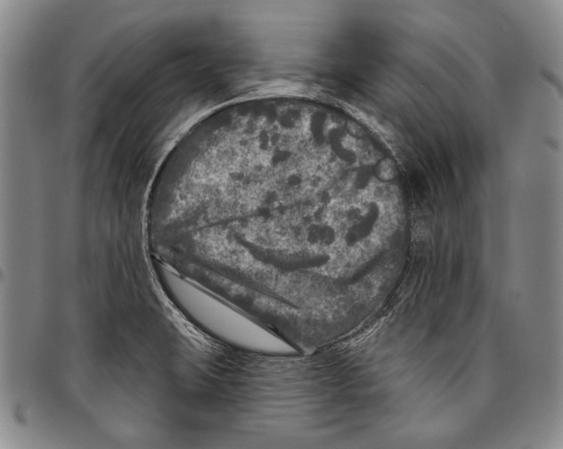 X0000096471423200802211139