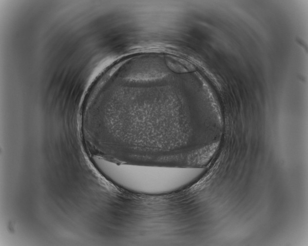 X0000096471424200802211139