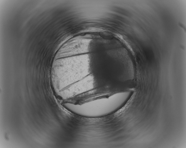 X0000096471425200802211139