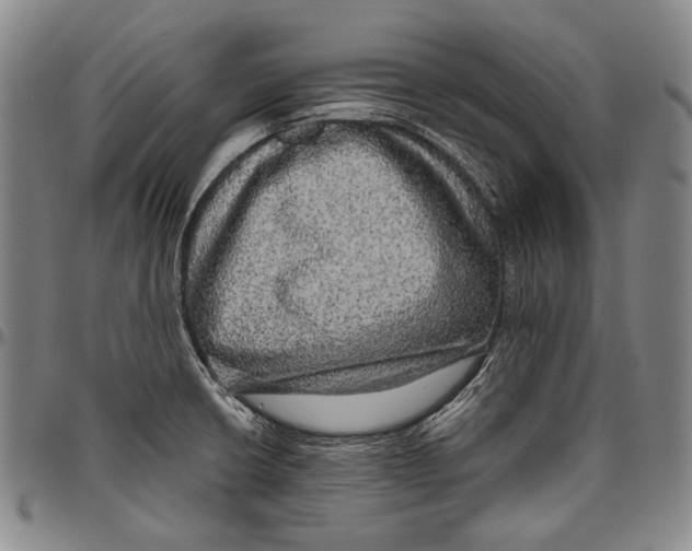 X0000096471426200802211139