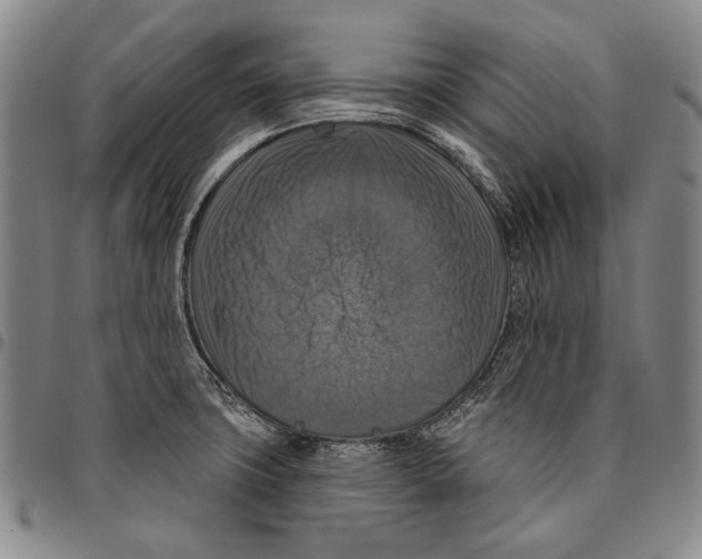 X0000096471427200802211139