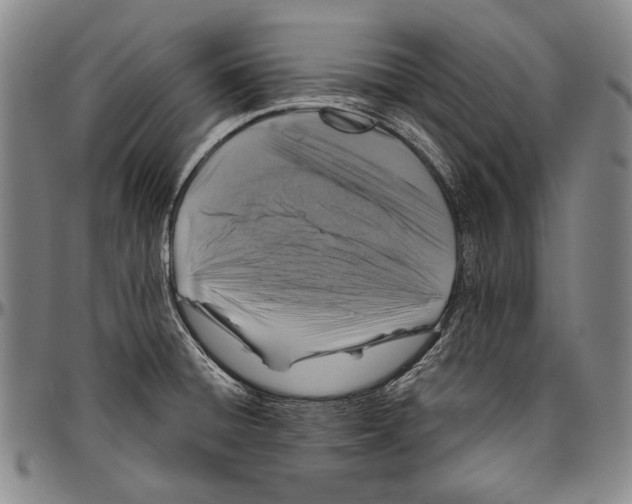 X0000096471428200802211139