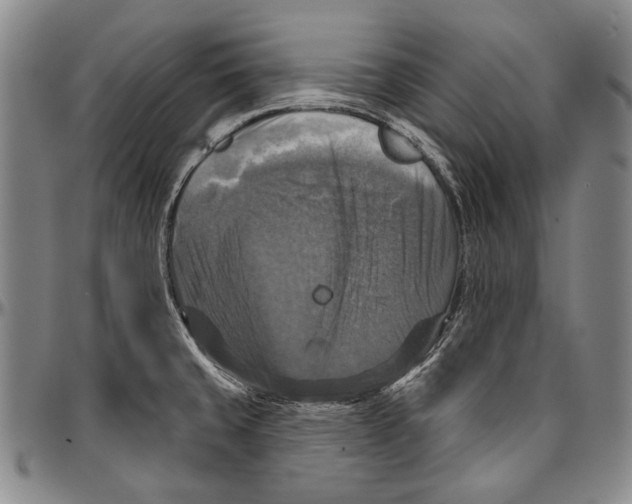 X0000096471429200802211139