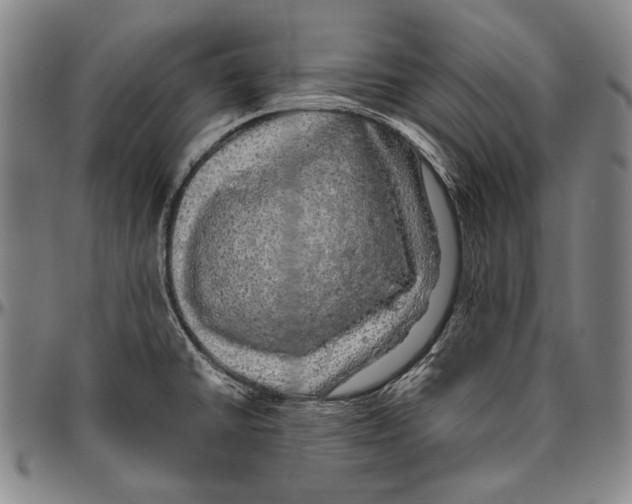 X0000096471430200802211139