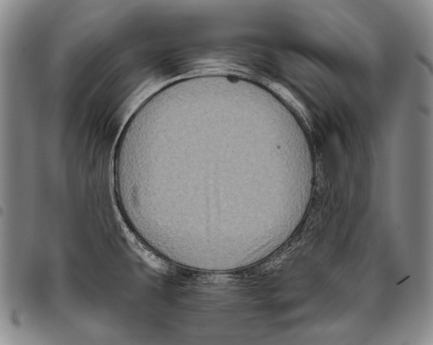 X0000096471431200802211139