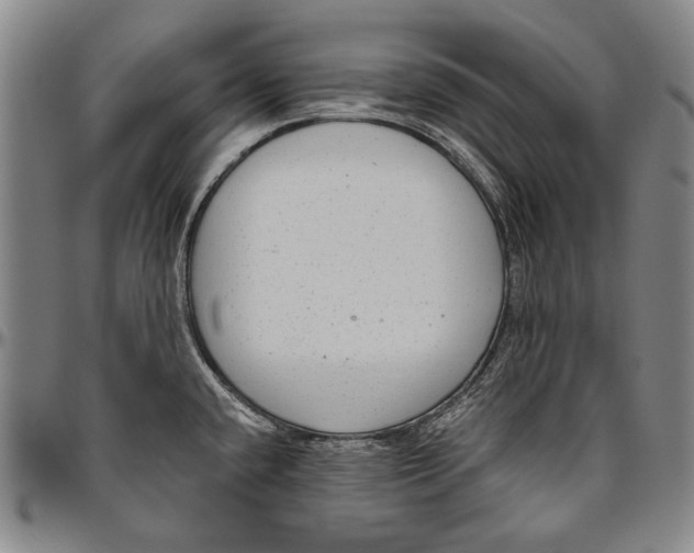 X0000096471432200802211139