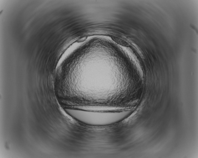 X0000096471433200802211139