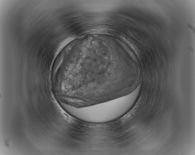 X0000096471434200802211139