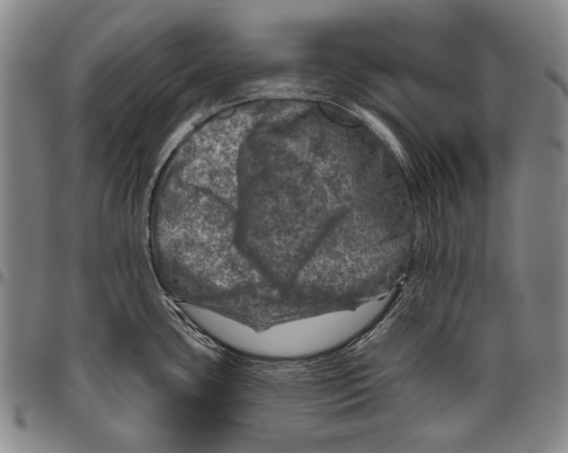 X0000096471435200802211139