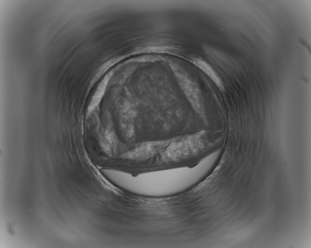 X0000096471436200802211139